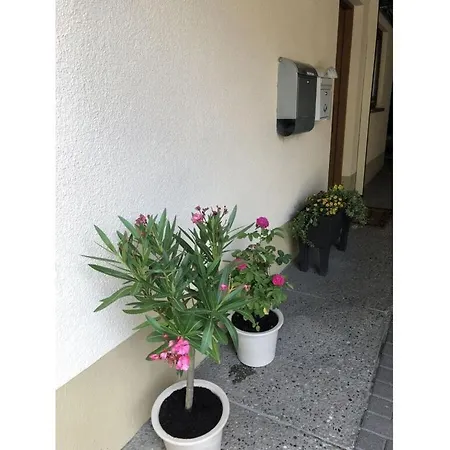 Am Gaessle On The Alleyway Holiday home Ettenheim